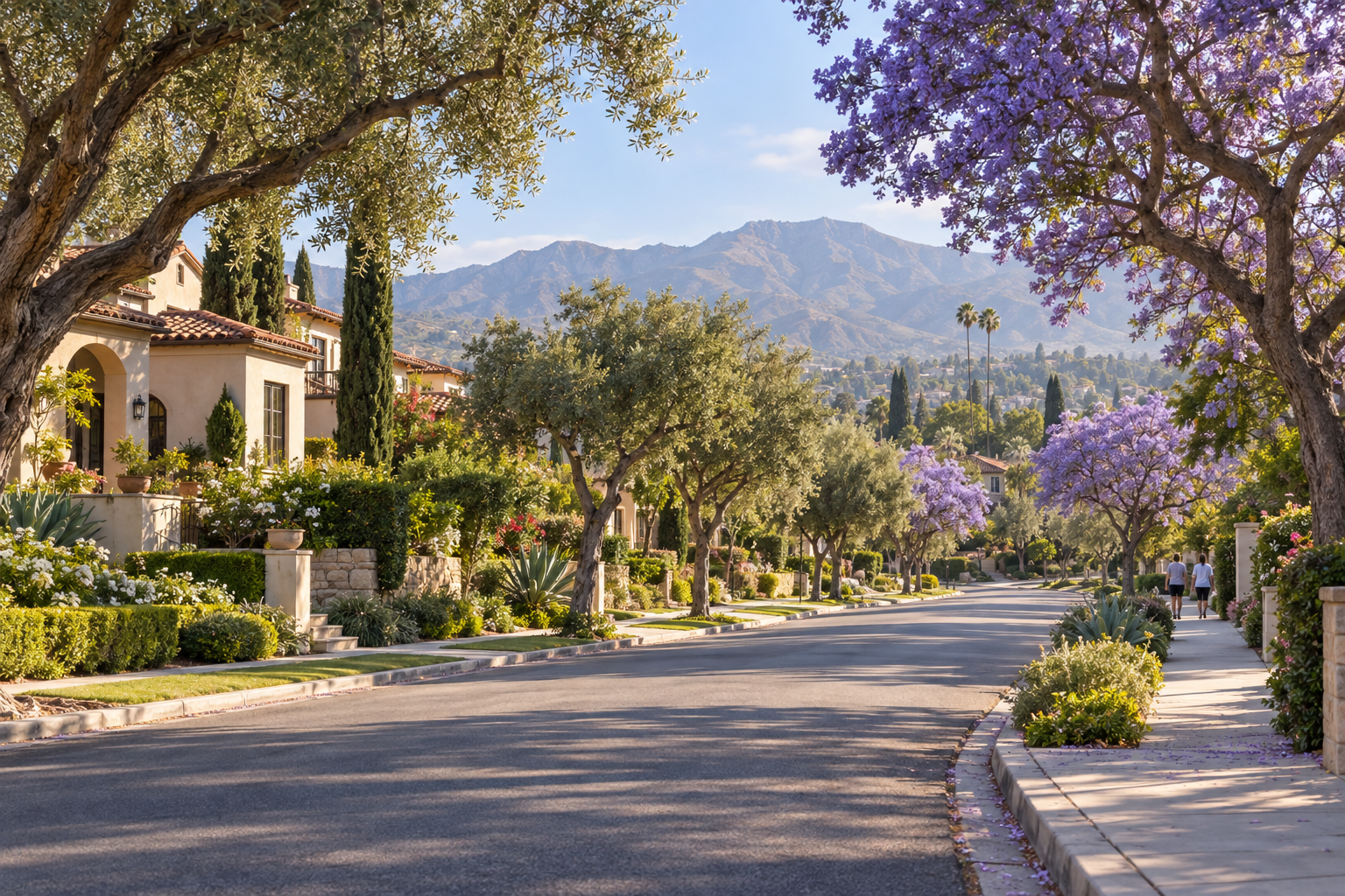 Illustrative Southern California community street